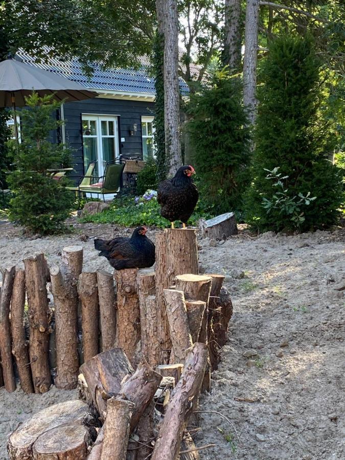 Schuringse Klasse Numansdorp Eksteriør bilde